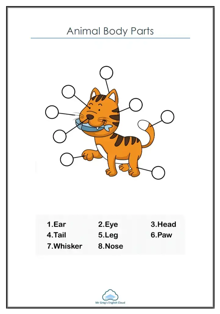 Kindergarten: Animal Body Parts – Mr Greg's English Cloud